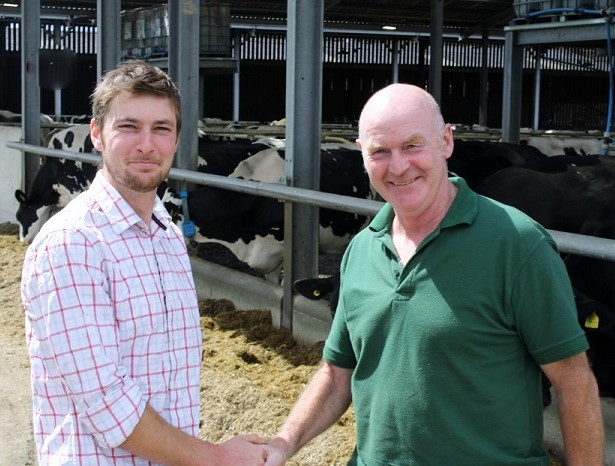 a couple of men standing in a barn with cows
